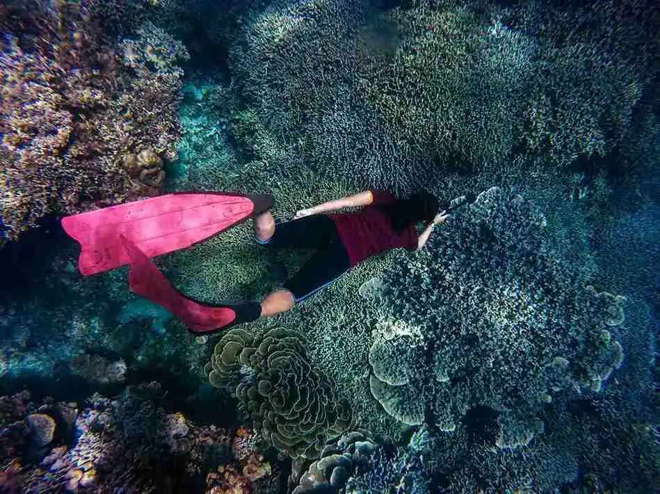 Crystal Bay | Snorkeling with coral