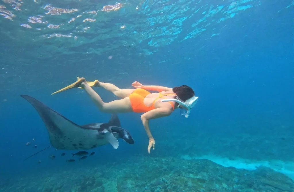 Manta Bay | Snorkling With Manta | Snorkling Nusa Penida