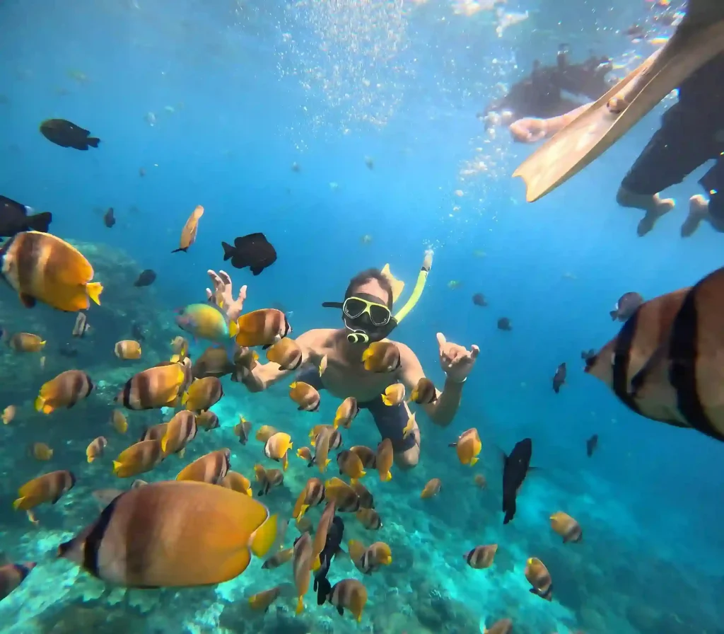 Snorkeling Gamat Bay | Snorkeling Nusa penida