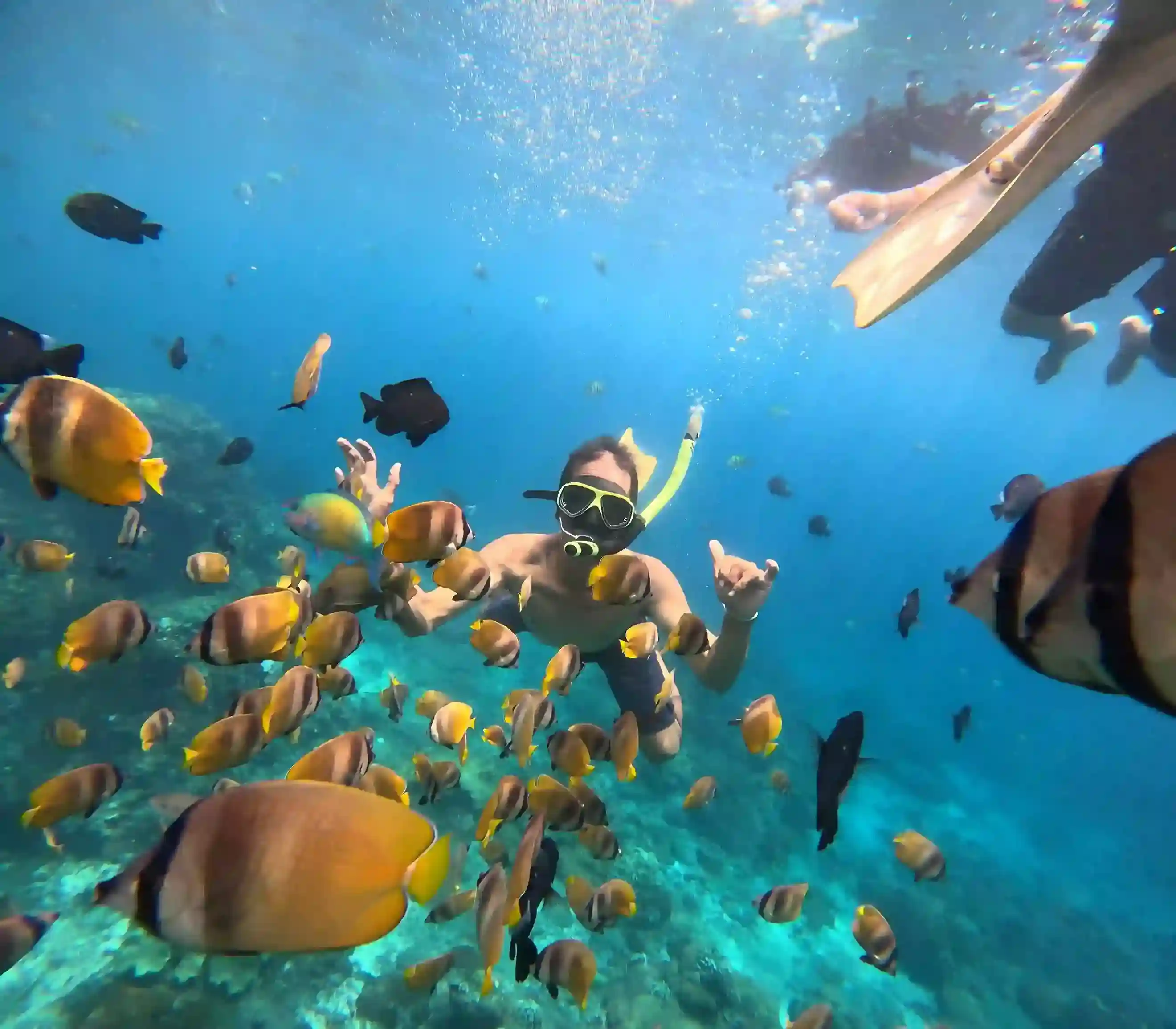 Snorkeling Nusa Penida - See Manta Rays, Turtles & Coral Gardens in One Day
