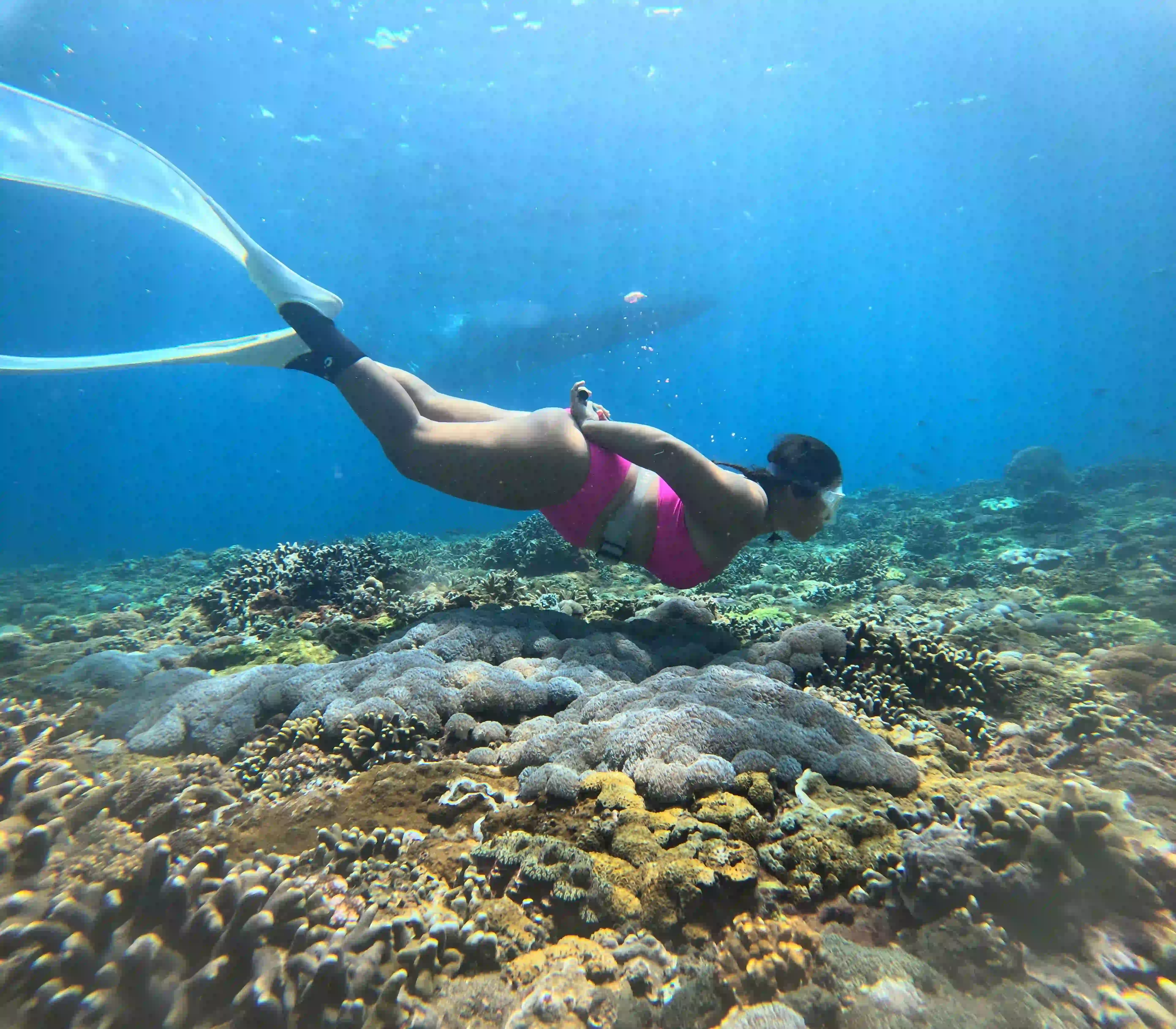 The Best Time of Year to Snorkel in Nusa Penida