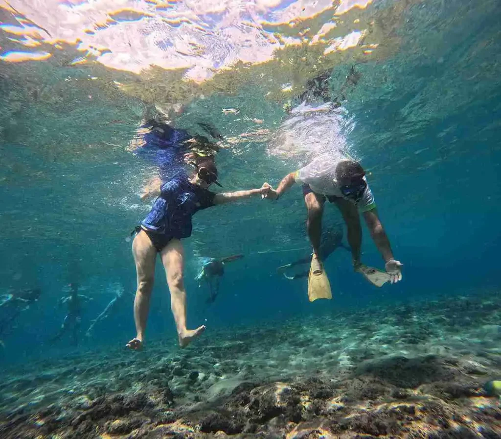 Snorkeling Nusa Penida | Gamat Bay 