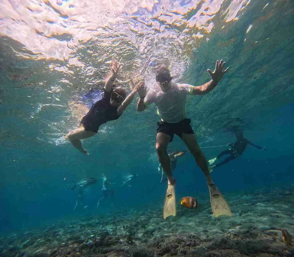 Snorkeling Nusa Penida | Gamat Bay