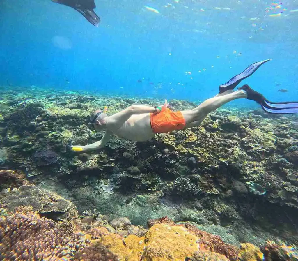 Snorkeling Package Nusa Penida 2026 | Snorkeling Penida