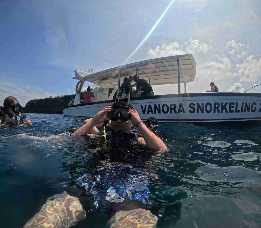 Snorkeling in Manta Bay Gamat Bay and crystal bay