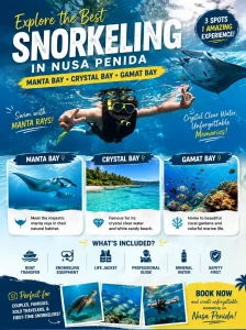 info