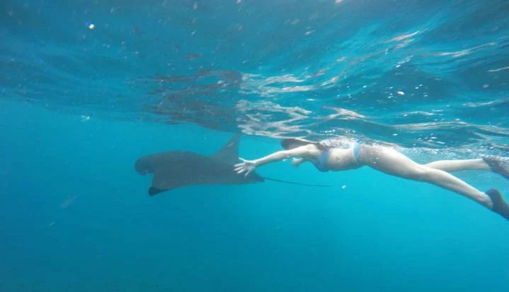 Snorkeling Nusa Penida for Beginners