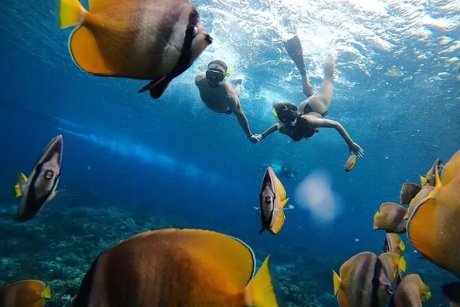 Nusa Penida Snorkeling: What to Expect & How to Prepare