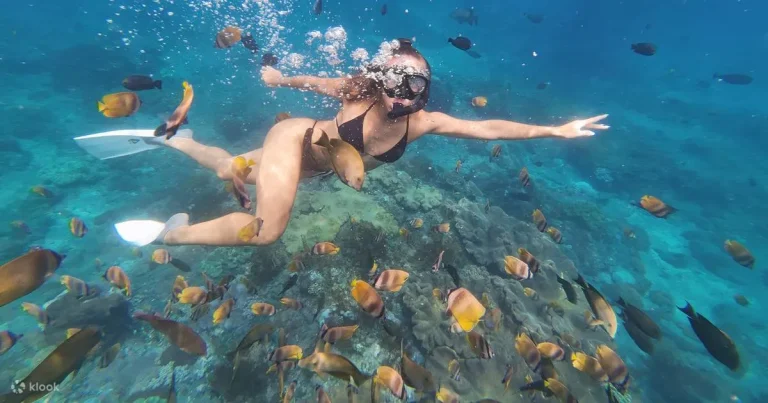 Best Norkeling spot Nusa Penida | Snorkeling Penida
