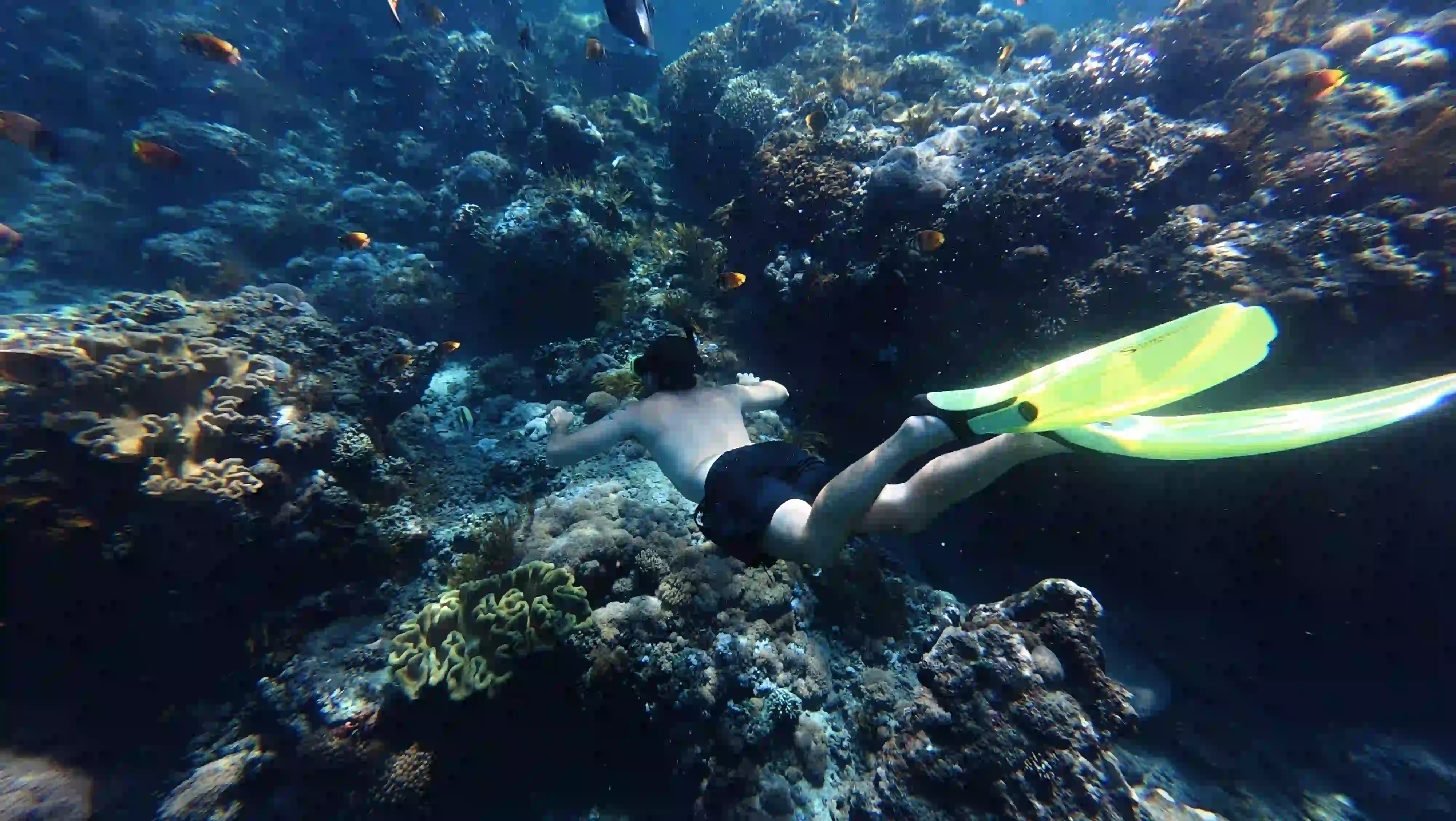 Nusa Penida Snorkeling Reviews: What Real Travelers Say