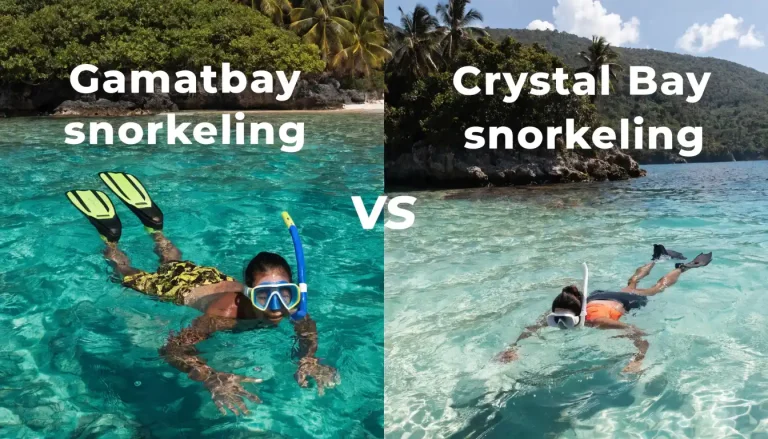 Crystal Bay vs Gamat Bay | Snorkeling Penida