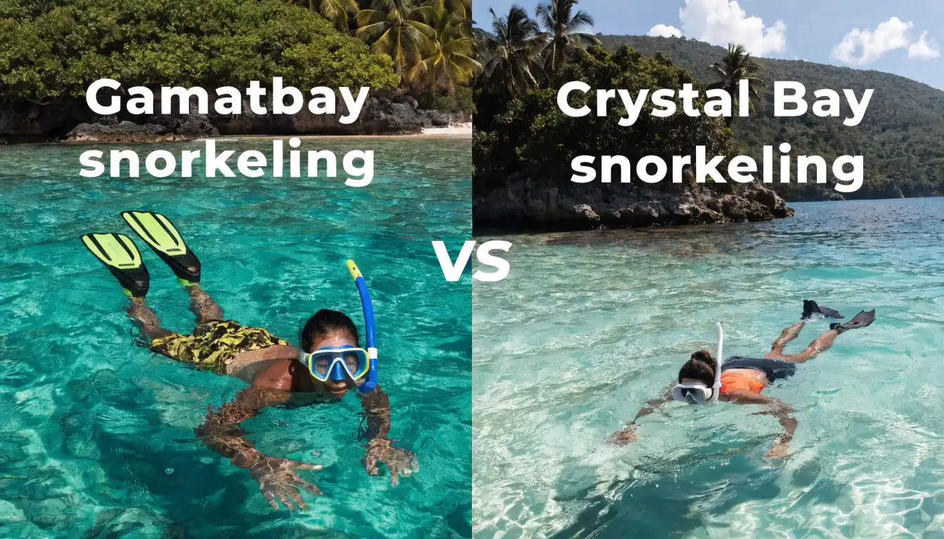 Crystal Bay vs Gamat Bay Snorkeling Nusa Penida: The Definitive 2026 Guide