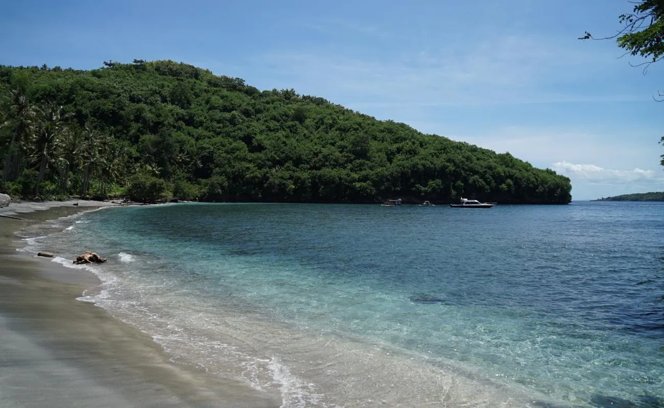 Gamat Bay vs Manta Point: Which Should You Choose?