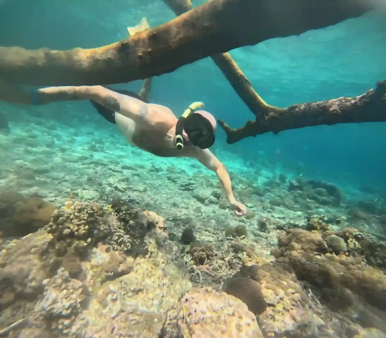 Nusa Penida Snorkeling: What to Expect & How to Prepare